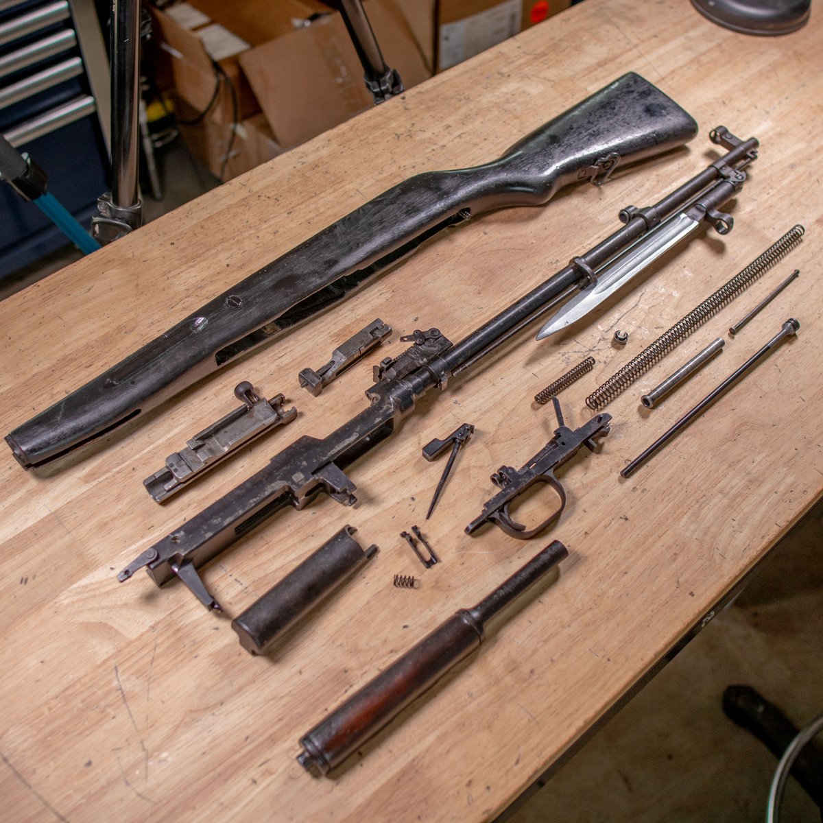 Hoffman Tactical tweet media