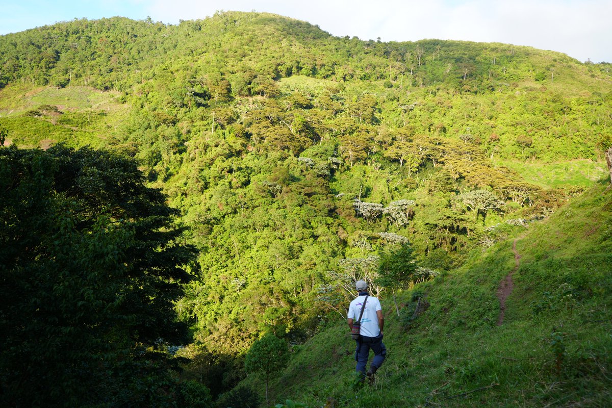 UBPDcolombia's tweet photo. #UBPDCesar 📍
⛰️ El viaje comenzó antes del amanecer, cuando el frío todavía se aferra a la montaña y el silencio parece más intenso. La misión era clara: recuperar los cuerpos de los sitios donde la información recogida indicaba que podían estar. El camino fue largo y exigente. https://t.co/jNMwFLLYS5