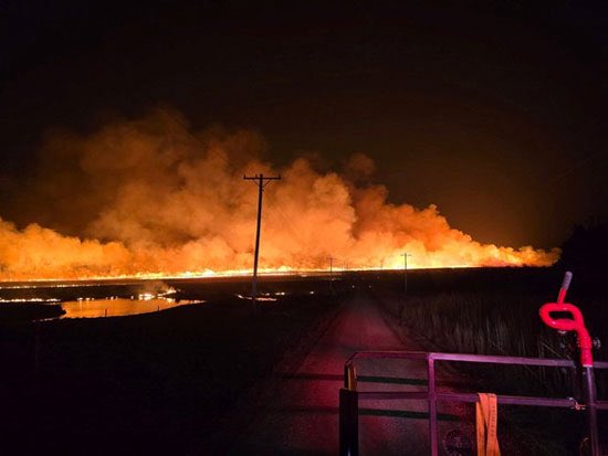 K-State Agronomy tweet media