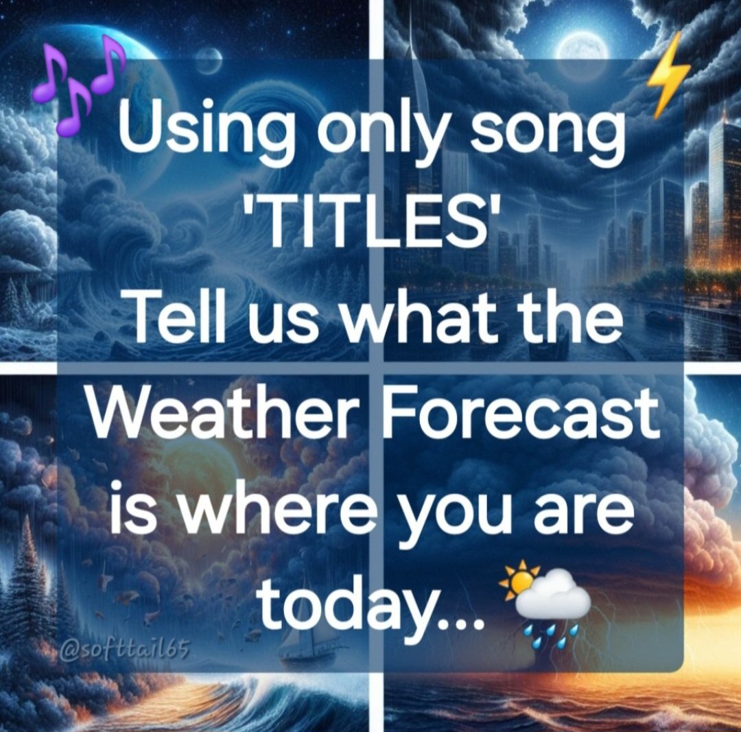 Monica 💙🌻🏳️‍🌈 tweet media