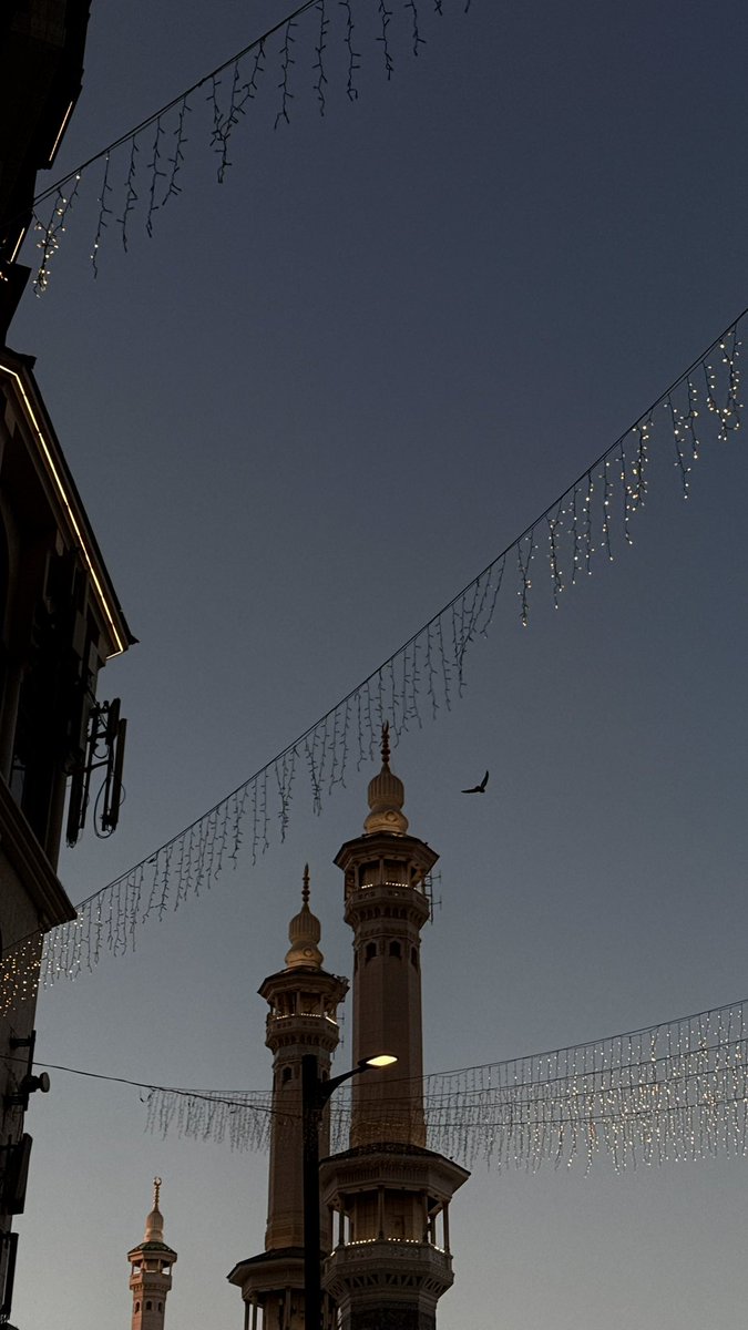 العنود tweet media