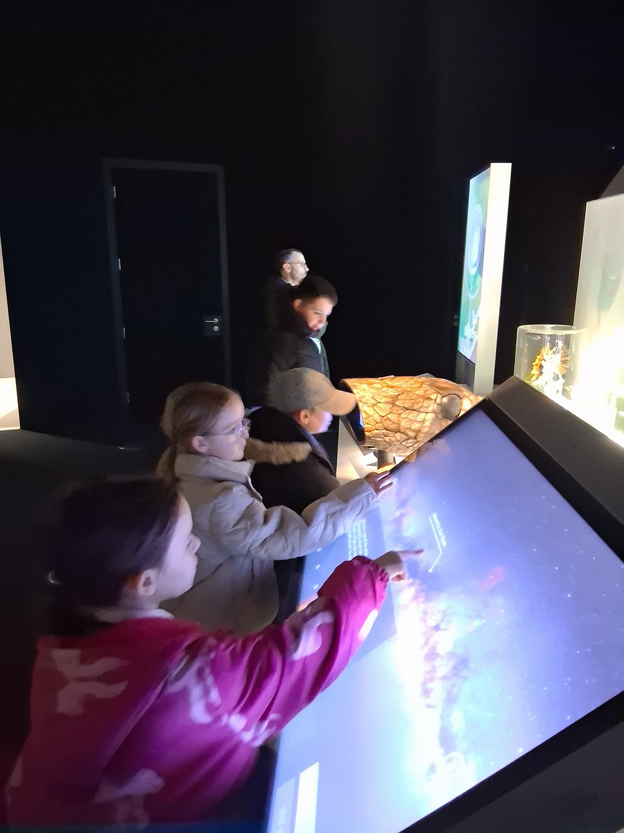 DittonPS tweet media