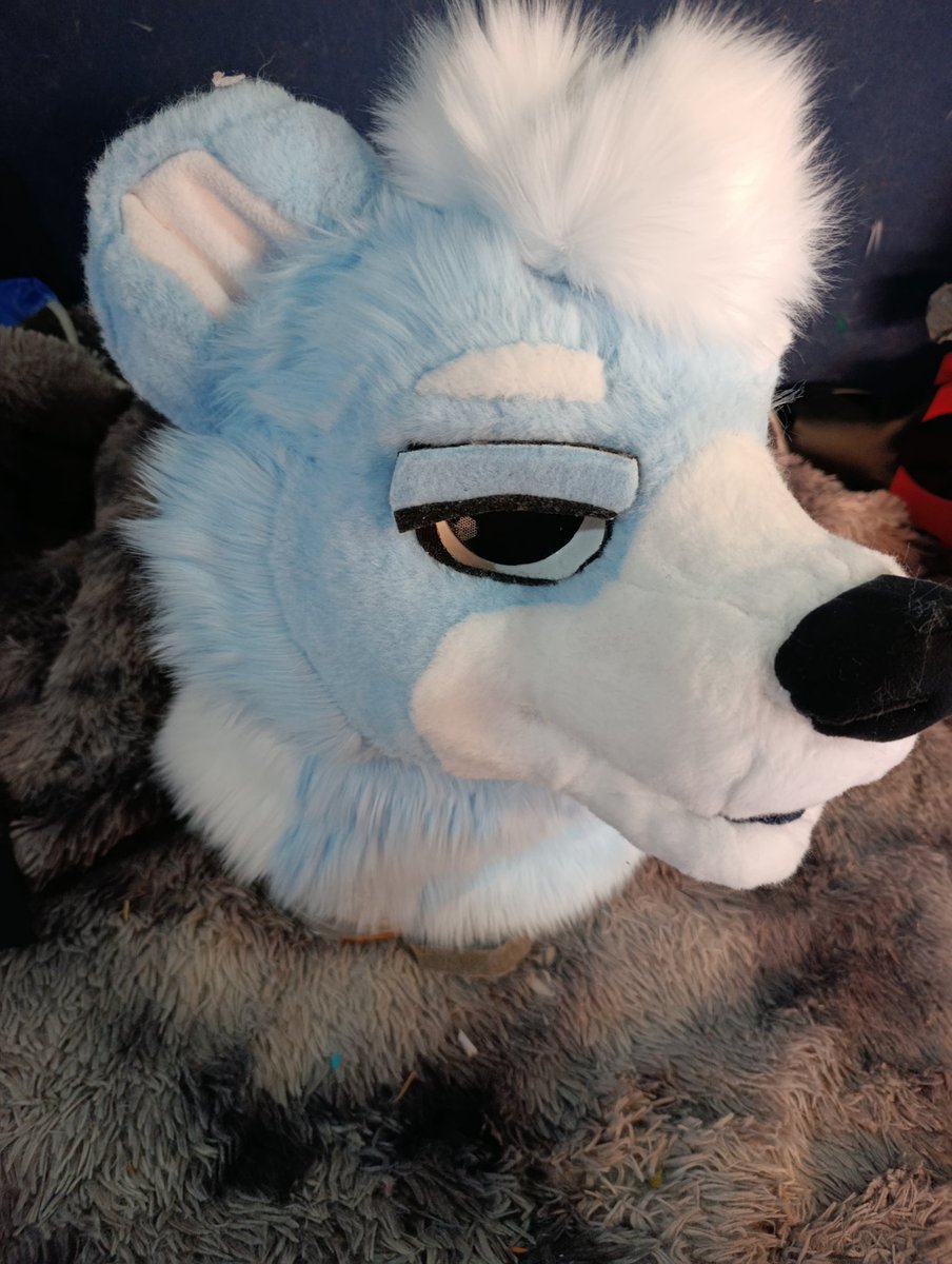 Snuggles fursuits tweet media