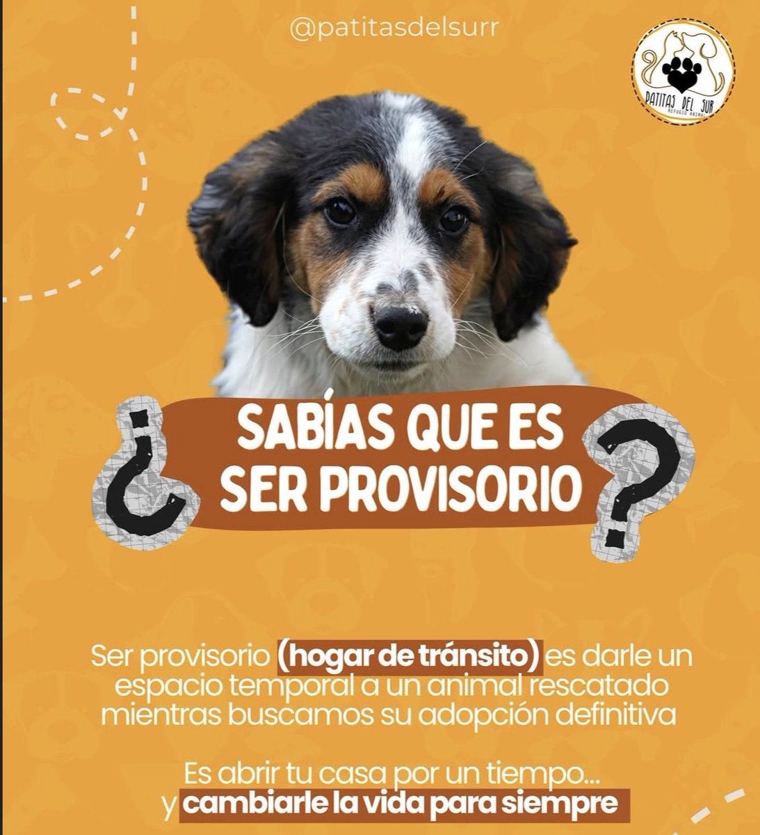 patitasdelsurr's tweet photo. https://t.co/Bl4eIWuYSt