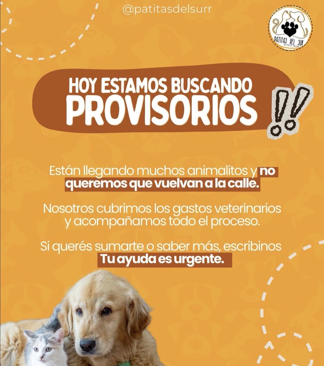 patitasdelsurr's tweet photo. https://t.co/Bl4eIWuYSt