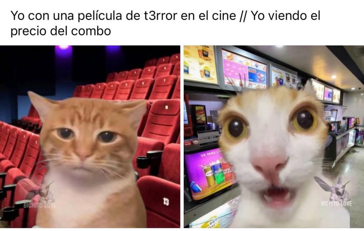 cristian lemus tweet media
