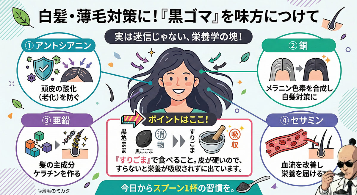 【驚愕】黒ゴマの科学的メリット
「白髪や薄毛が気になるなら『黒ゴマ』を味方につけて。実はこれ、単なる迷信じゃなく栄養学の塊なんです。

①アントシアニン：頭皮の酸化（老化）を防ぐ 
② 銅：メラニン色素を合成し白髪対策に
③ 亜鉛：髪の主成分ケラチンを作る
④