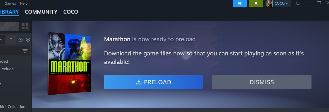 R A I N 🦉 tweet media