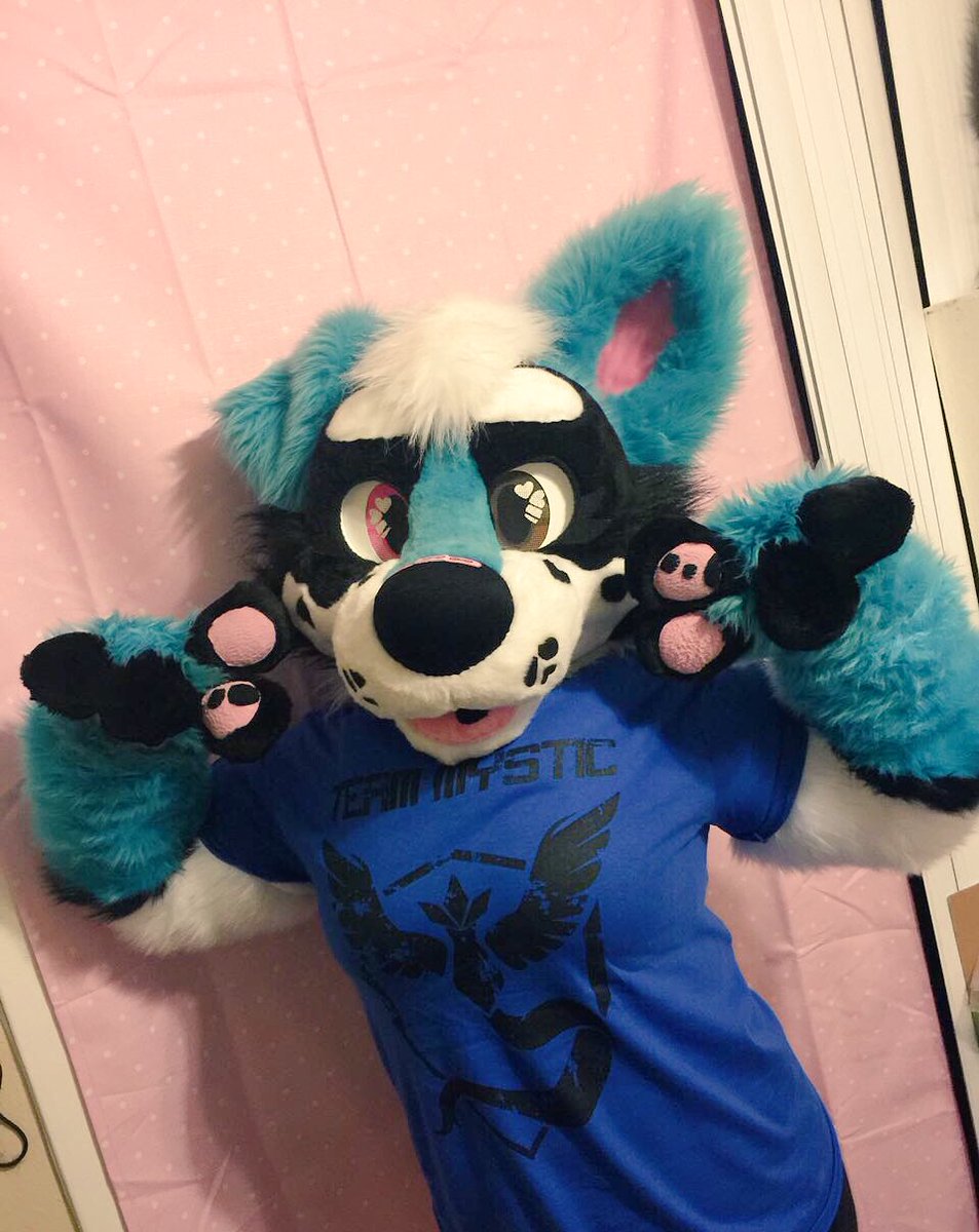 MulticolorBark tweet media