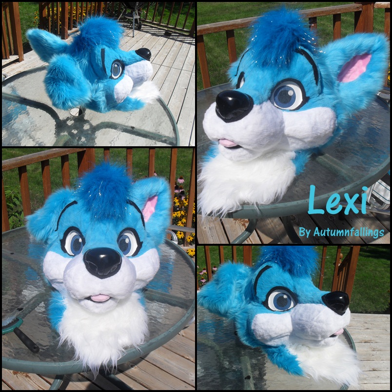 MulticolorBark tweet media