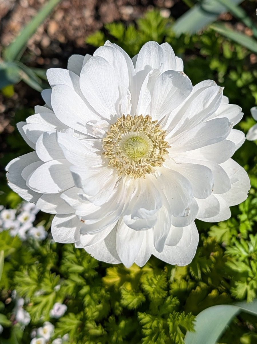 🌺直也❤️‍🔥 tweet media