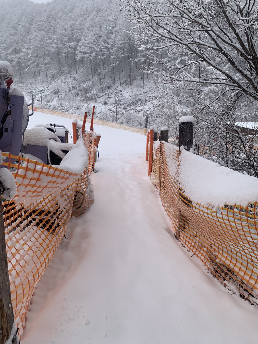 おはよう御座います。

なんかまだ降ってますねw

トータルは25センチ位ですね。

#番所ヶ原スキー場