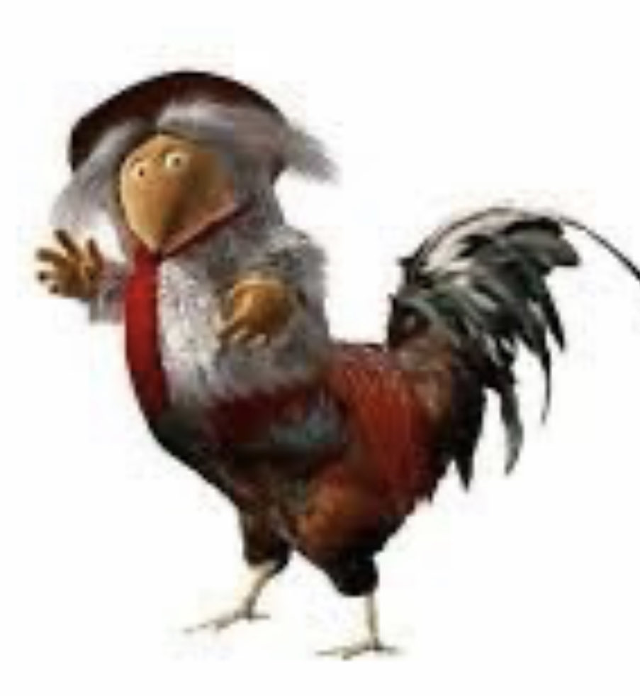 vinnie koslow tweet media