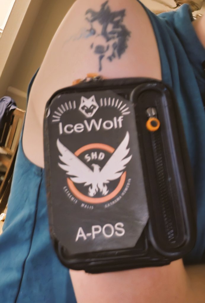 🧊 Agent IceWolf 🐺 tweet media