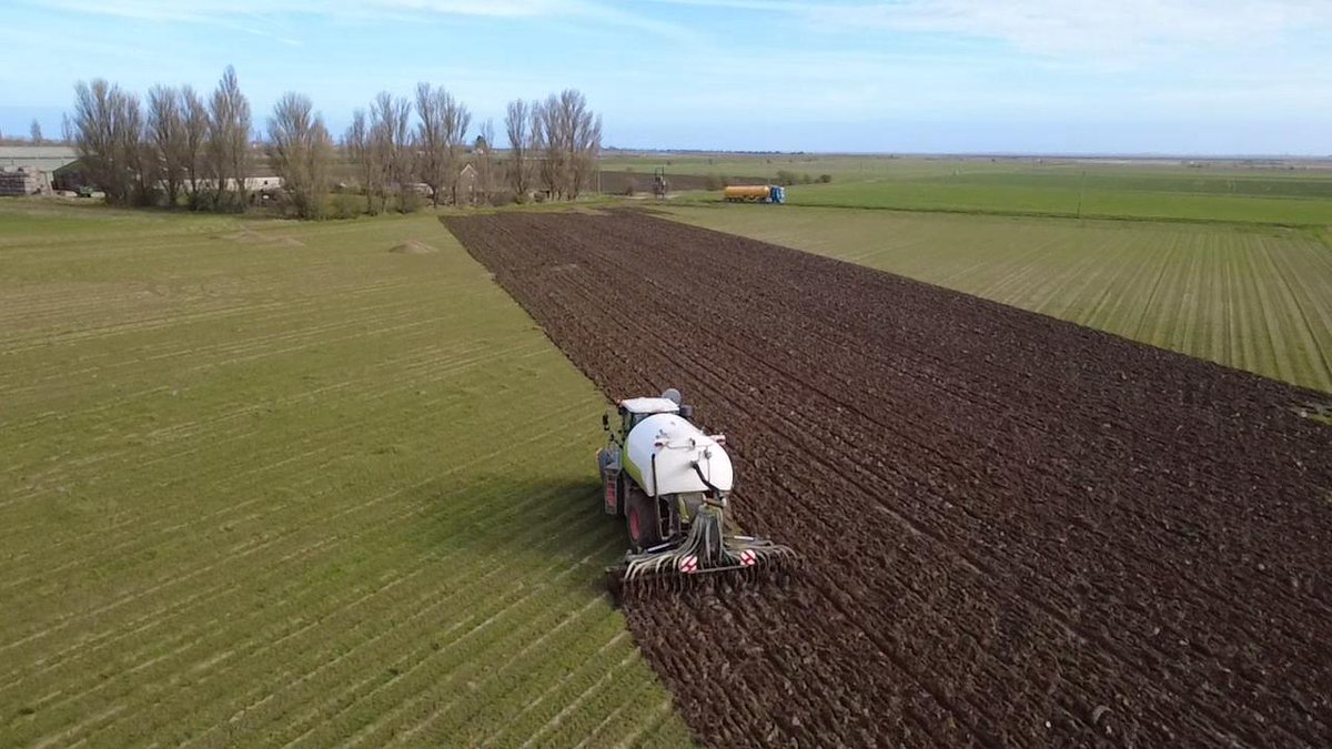 Benjamin Watts tweet media