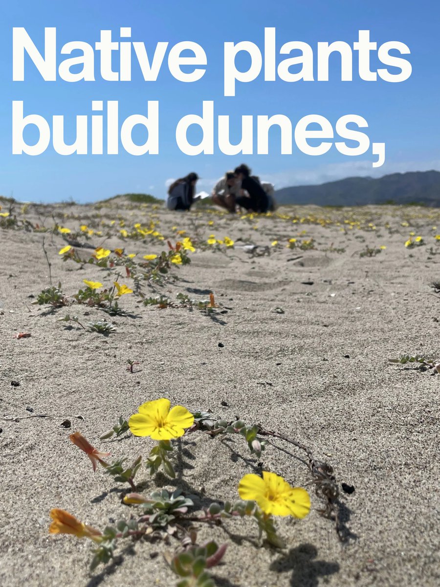 The Bay Foundation tweet media