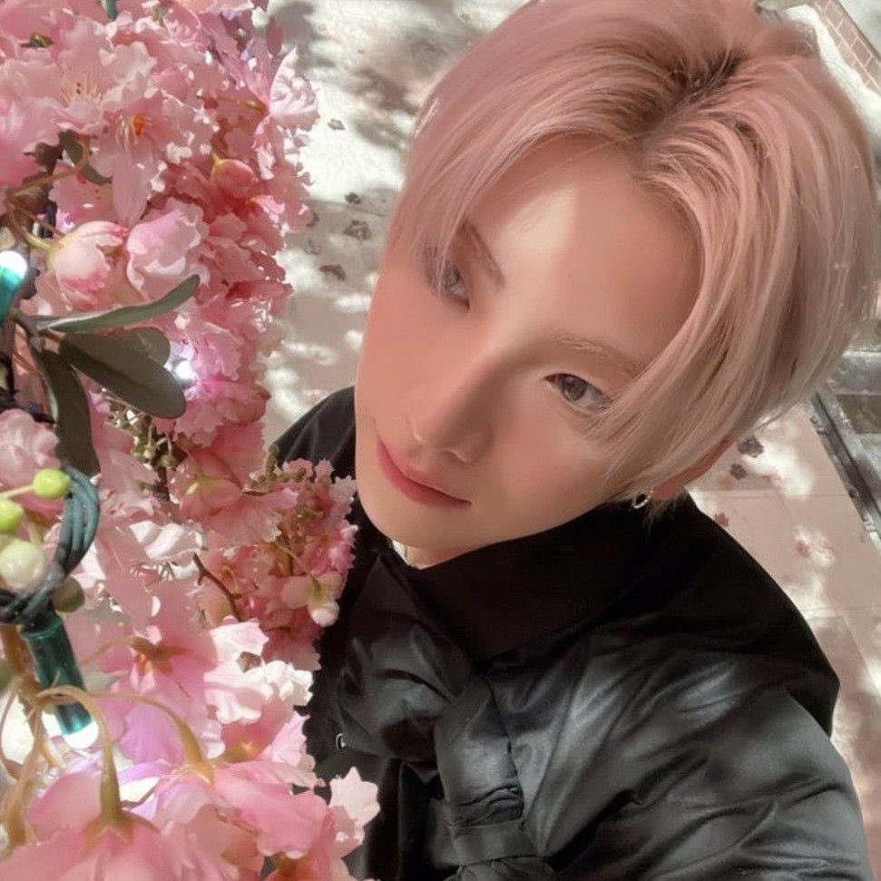 nix on fire 🐈 tweet media