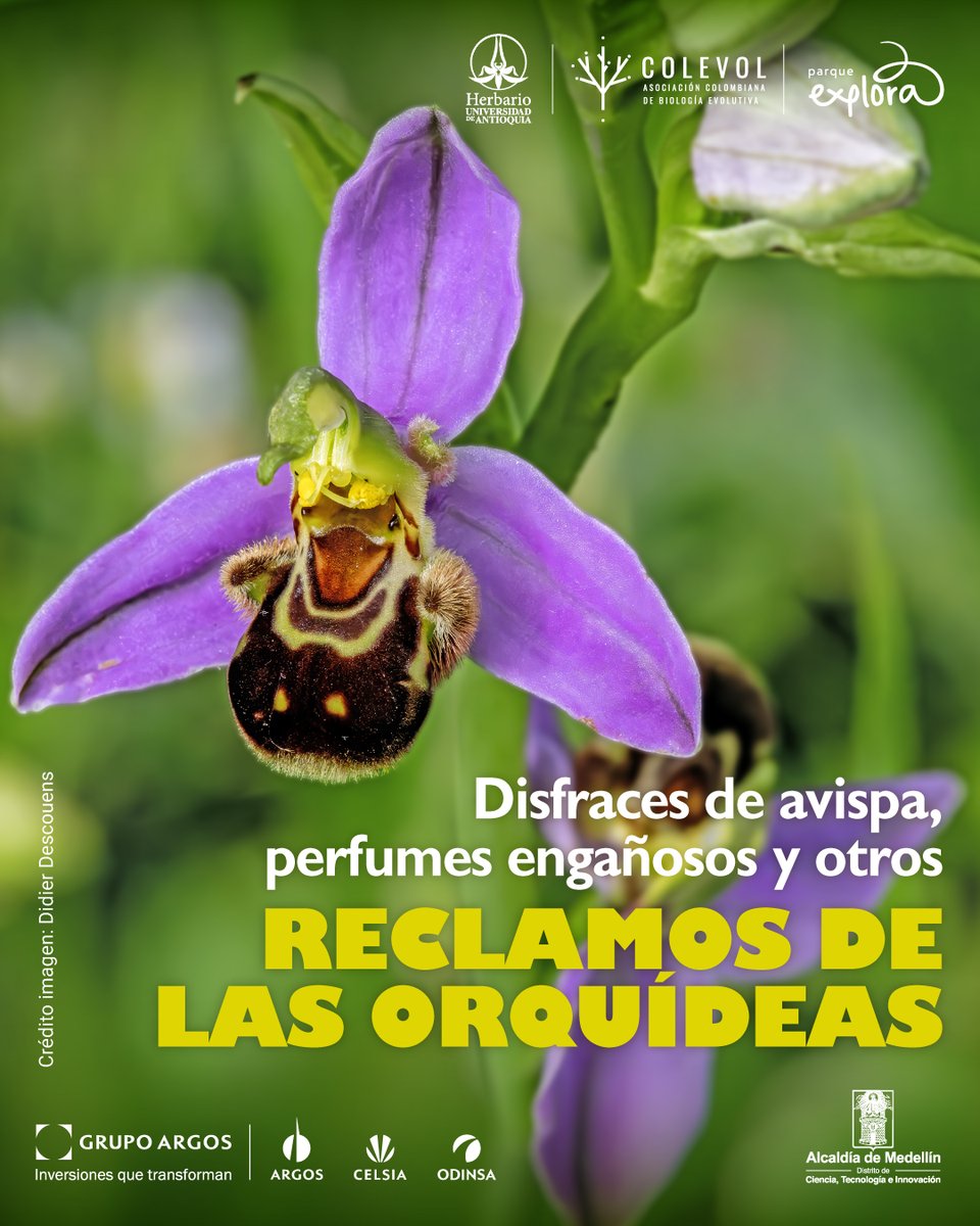 Parque Explora tweet media