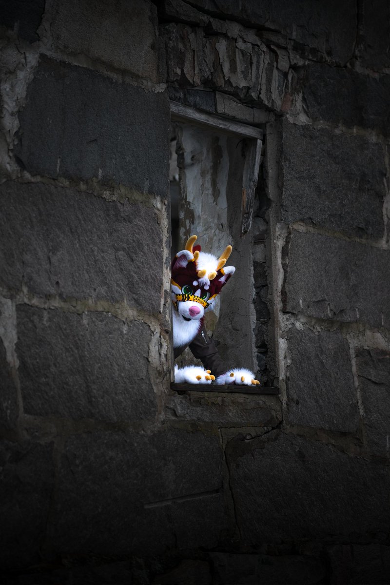 •Mánaskari• 🇸🇪 🇳🇴 tweet media