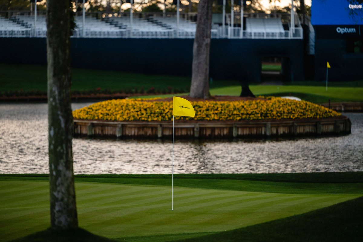 THE PLAYERS tweet media