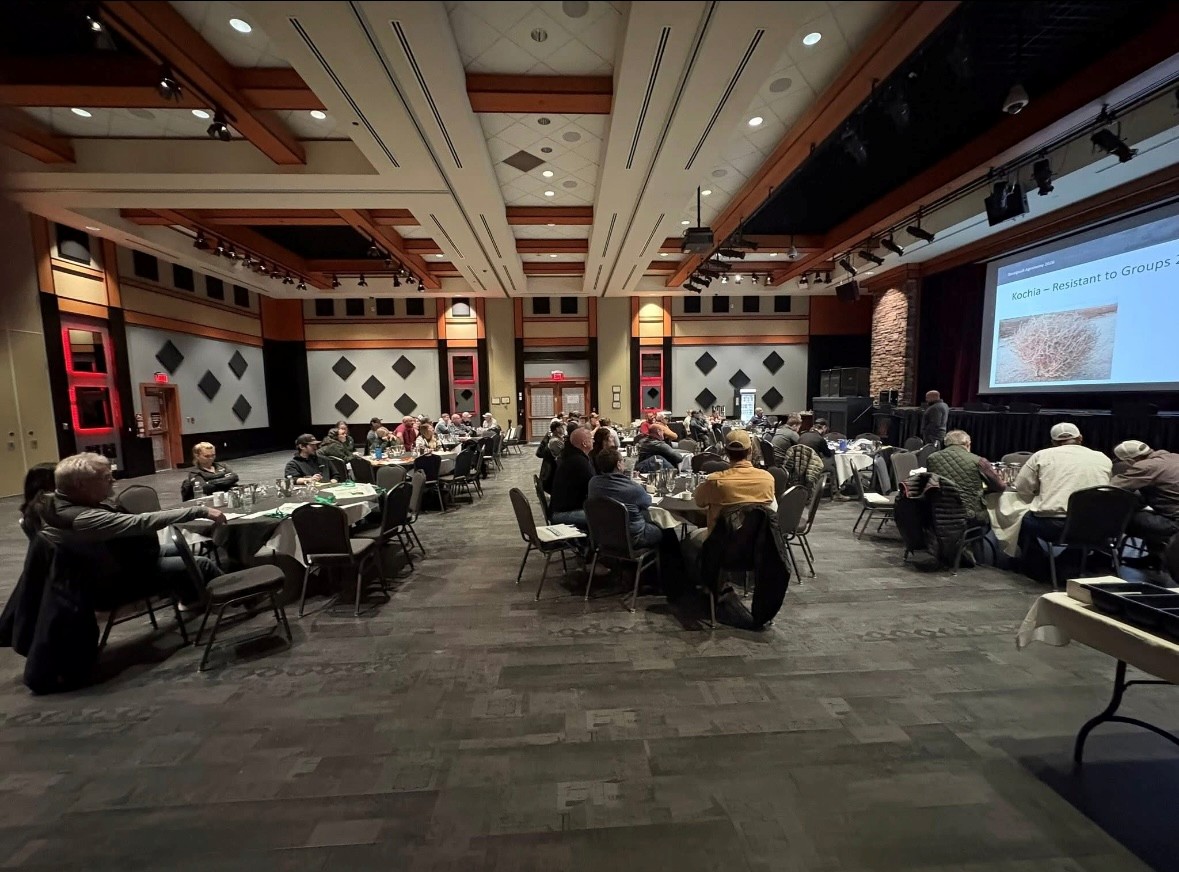 Collective Impact tweet media