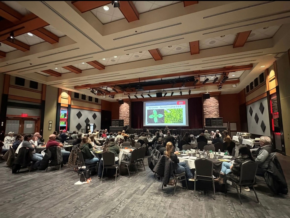 Collective Impact tweet media