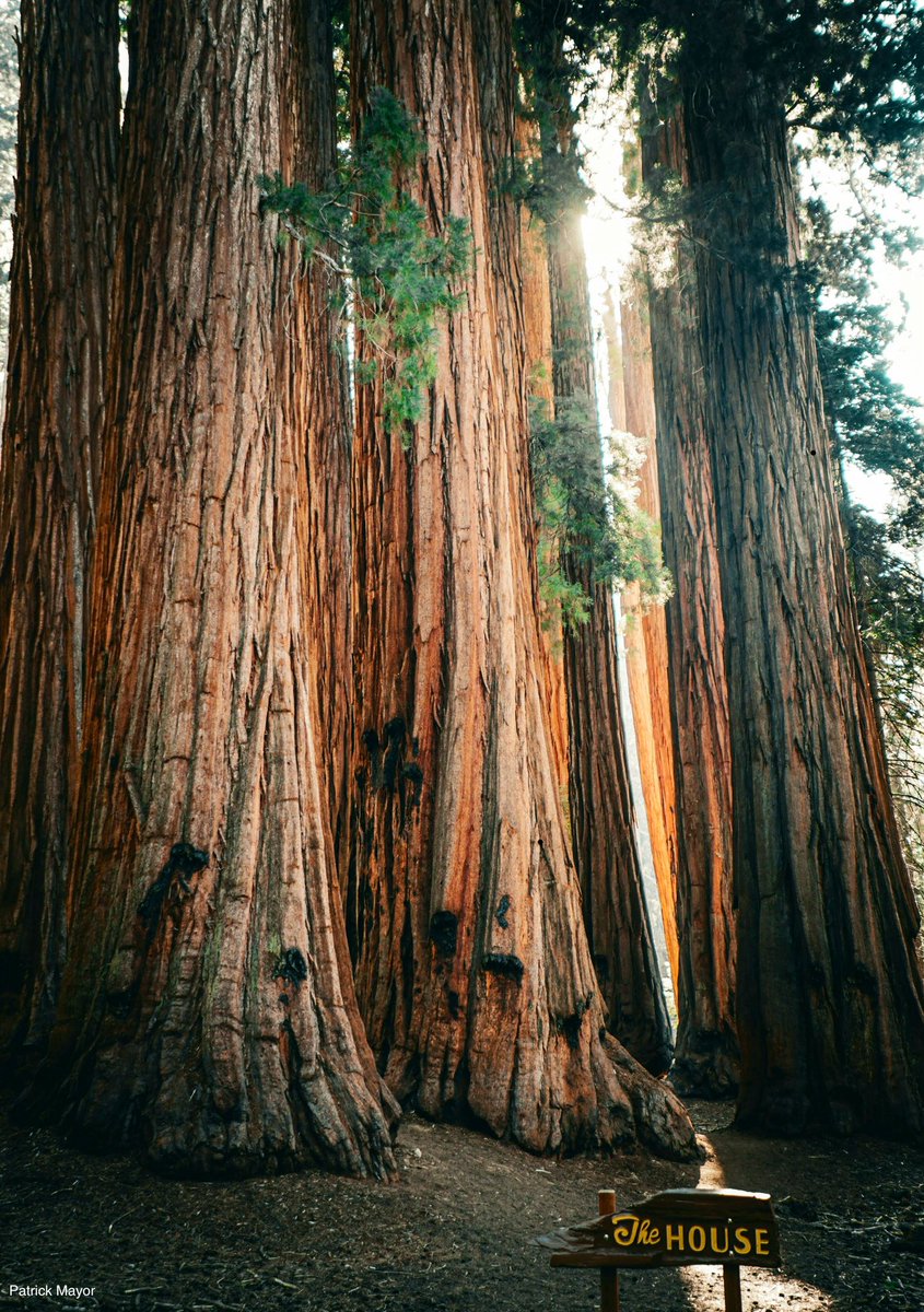 Nature Is Nonpartisan tweet media