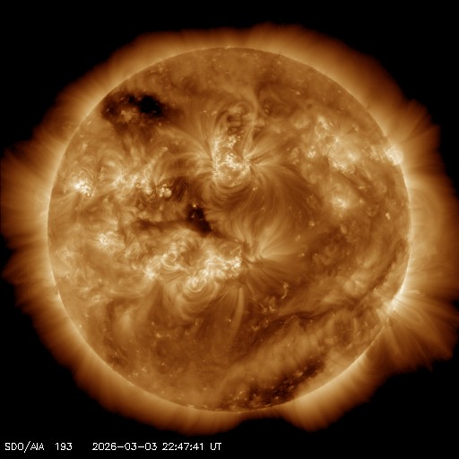 SCiESMEX/LANCE/UNAM tweet media
