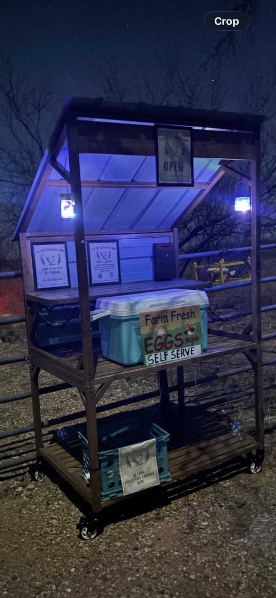 Ok I must confess I brought too many baby chickens last year.  Now they are grown and laying like crazy, and we have donated to neighbors, to charities and still have eggs,  we had to have another option!  Yep a roadside “Honor System” Self Serve Egg Stand!  And it’s rocking!