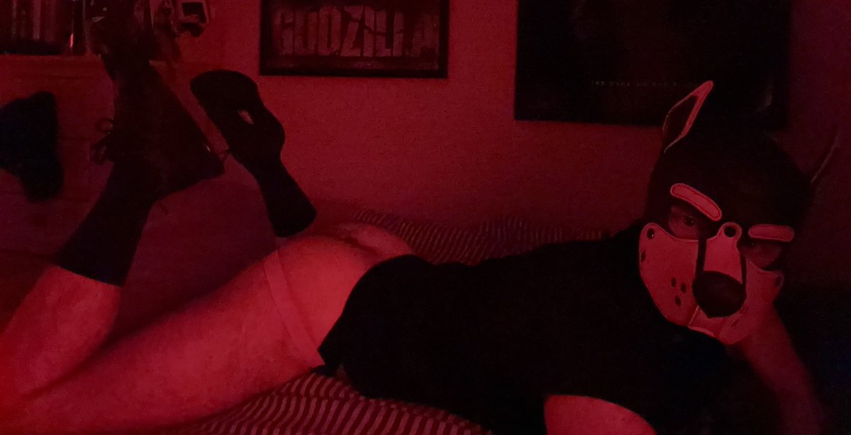 ⛓️PupOttie⛓️After Dark 🔞⛓️ tweet media