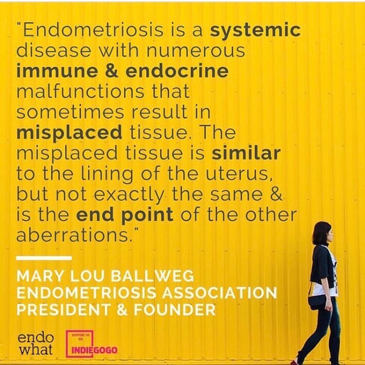 Ms. Scanlon tweet media