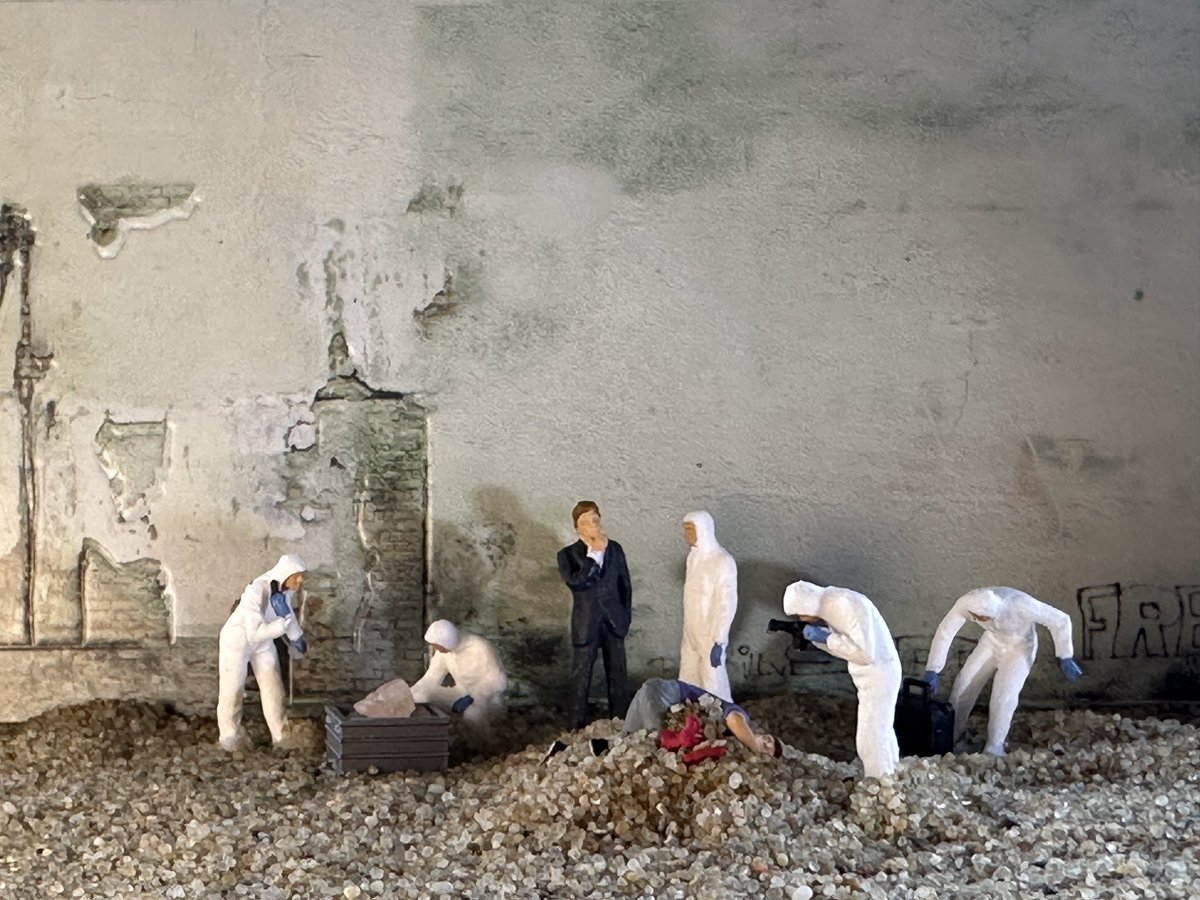 Sybil Baldwin #TheSpiderWhisperer 🕷 tweet media