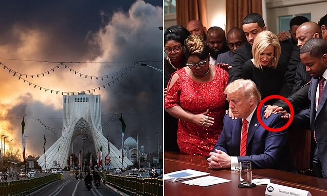 Trump Fact News 🇺🇸 tweet media