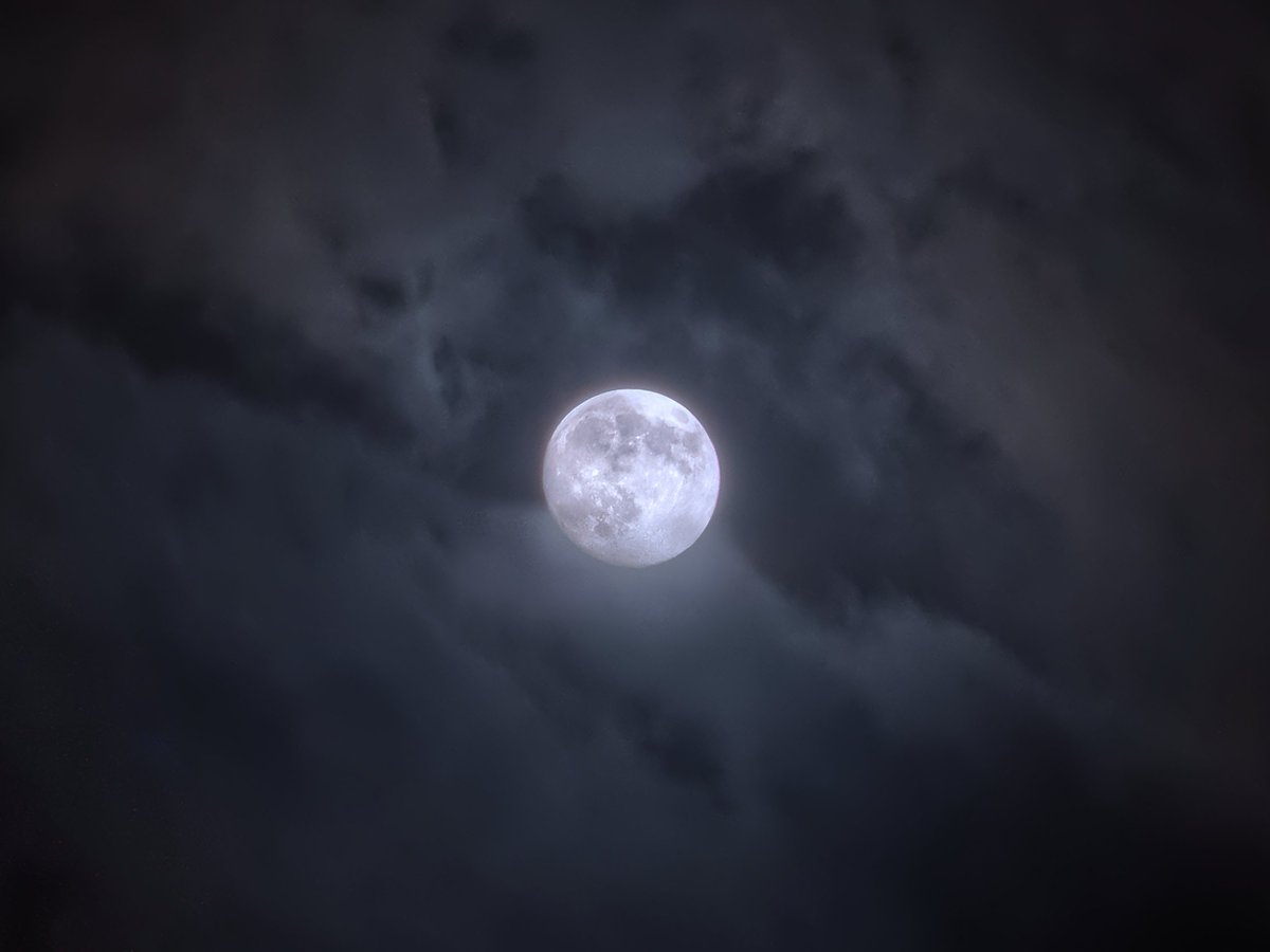 ruben_ozo's tweet photo. La luna jugando al escondite con la noche...
#Atierriña #Lua #Galifornia #LuaChea #LunaLlena #FullMoon #Moon #Galicia #Galifornia #Canon7D https://t.co/rR3hXcXZc9