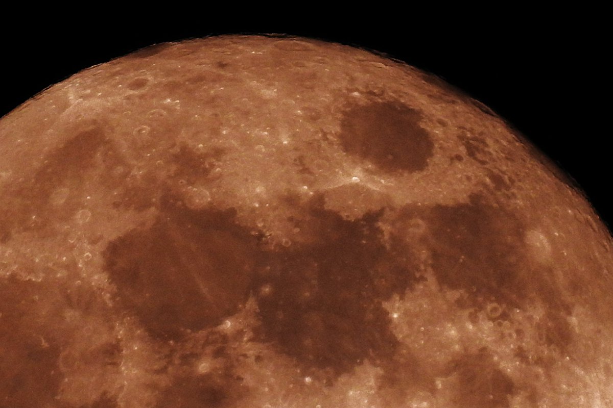 Nigey`s Wild Walks tweet media