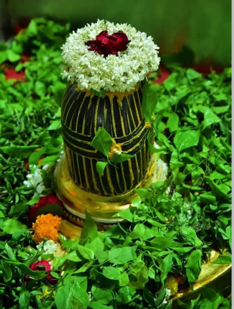 श्री काशी विश्वनाथ महादेव दिव्य दर्शन, हर हर महादेव