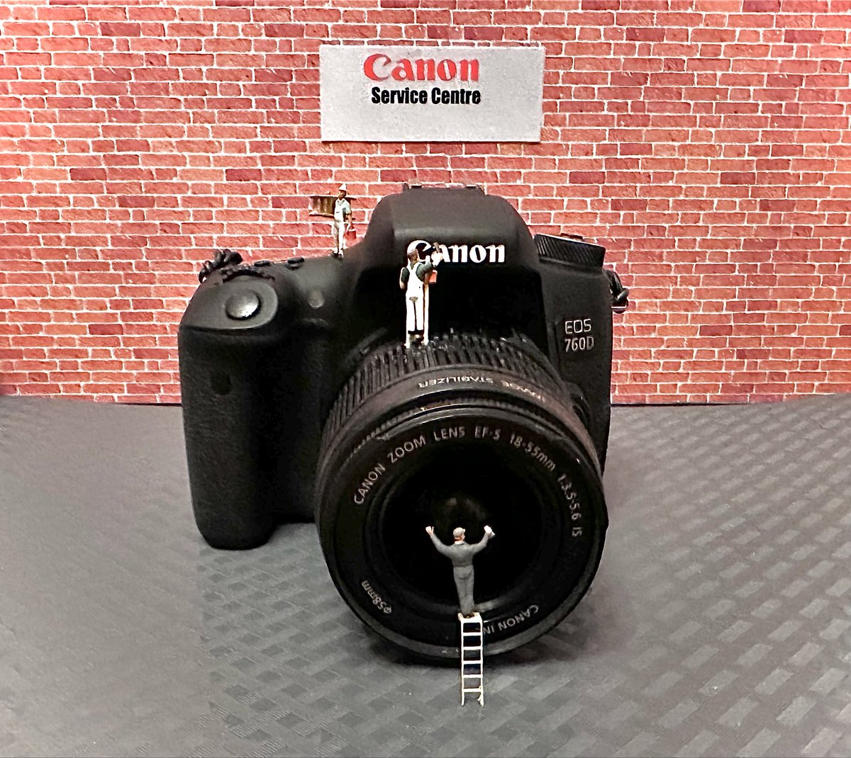 Sybil Baldwin #TheSpiderWhisperer 🕷 tweet media