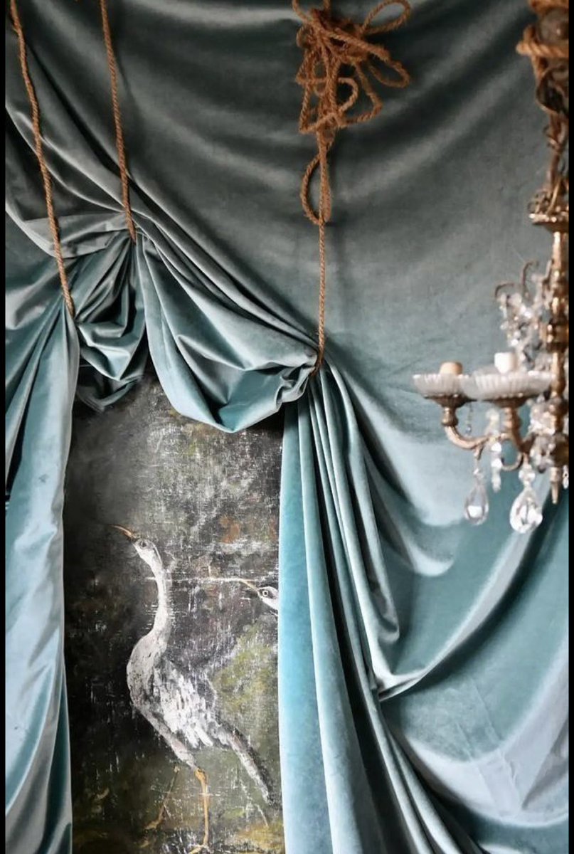 Shelby Grace | NYC tweet media