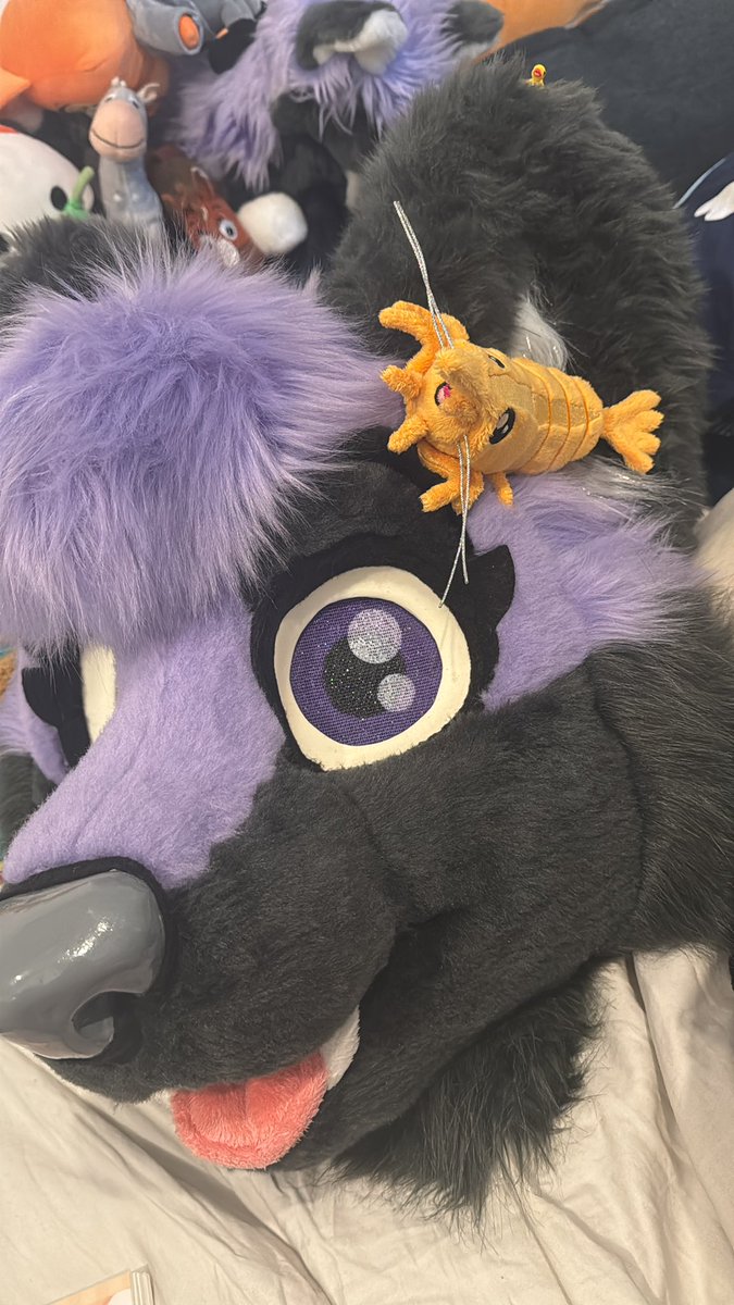 💜 Zee 💜 tweet media