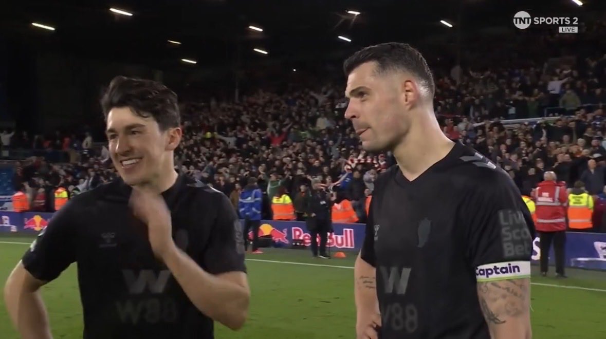 dom 🐈⬛ tweet media