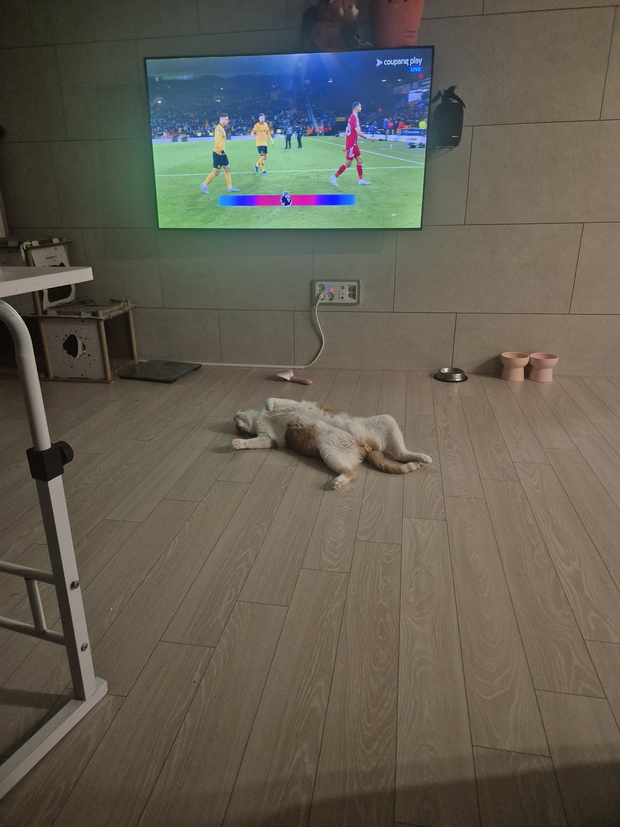 느고/NK | PROPIC tweet media