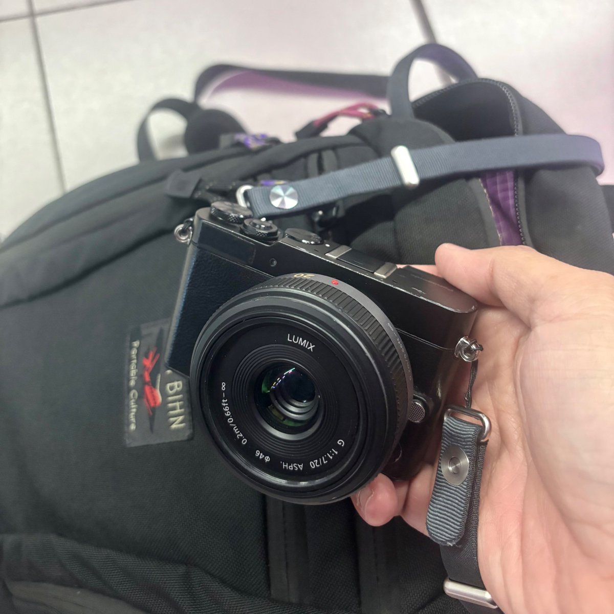 Toro Elmar tweet media