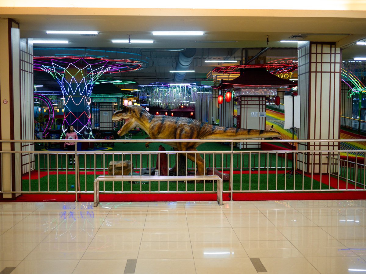 Toro Elmar tweet media