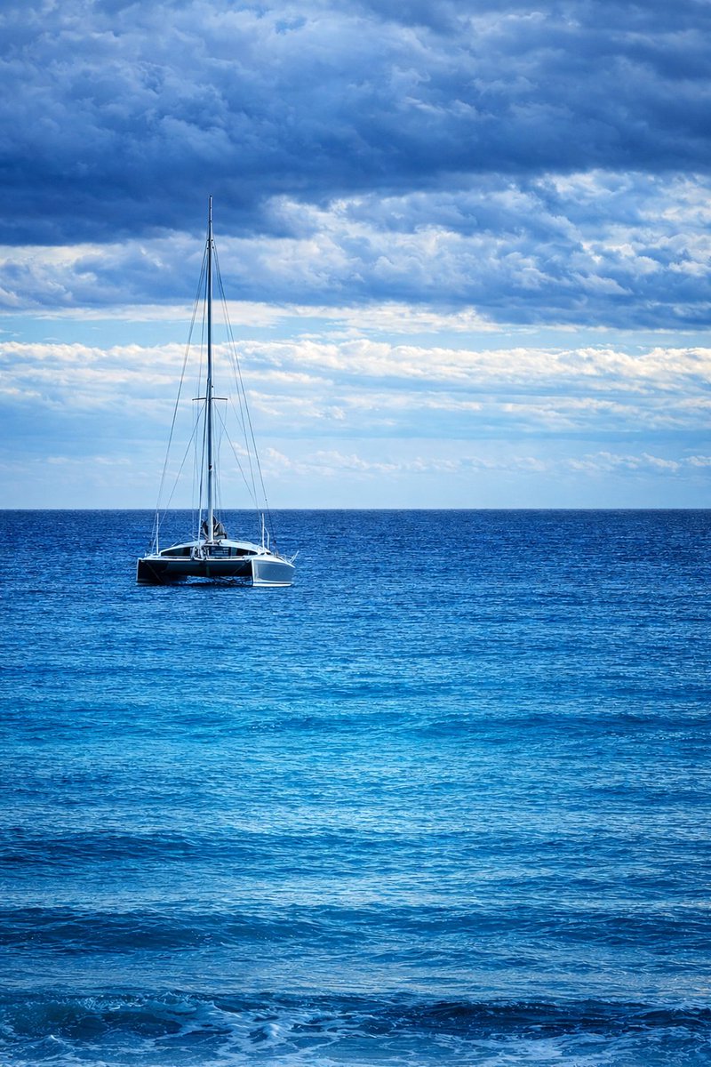 Ricky GonGar 🌐 tweet media