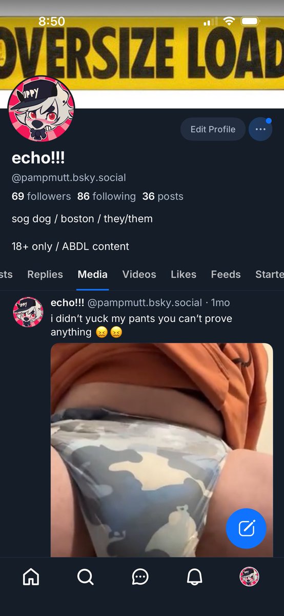 pampmutt on 💙 ☁️ tweet media