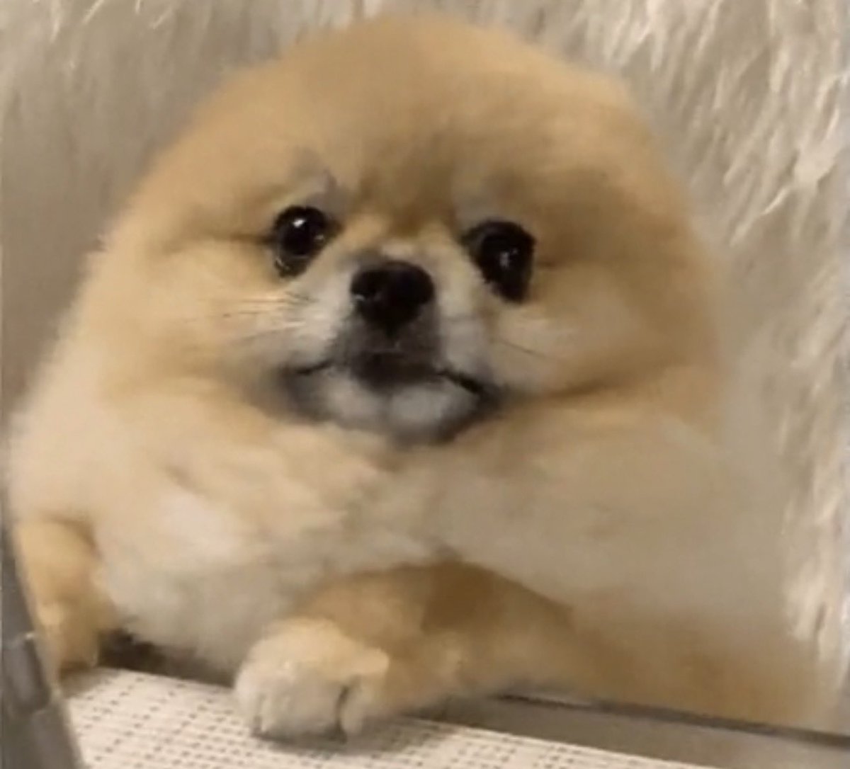 Branche° tweet media