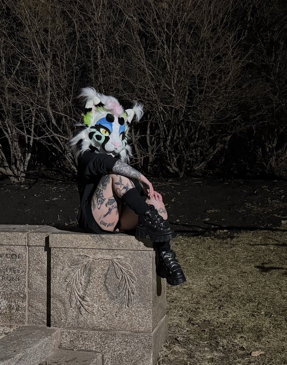 ☆ sloane ☆ tweet media