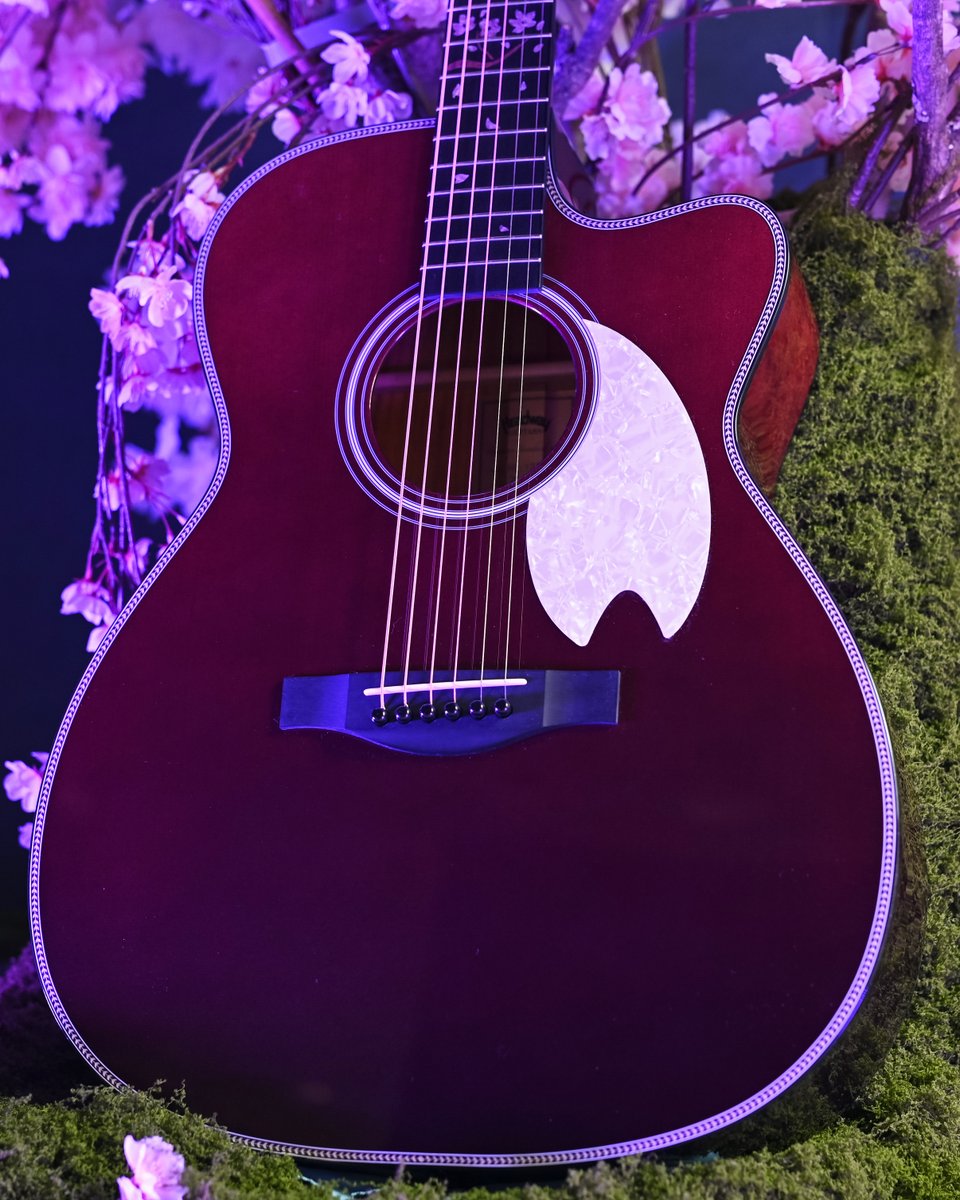 🌸春の訪れ～2026Headway STD Series～🌸 木漏れ日を思わせる淡い『薄