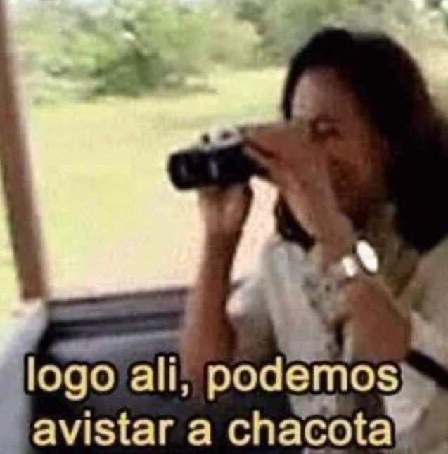 Gabcv00's tweet photo. O Babu cantando, e eu assim: 
#BBB26 https://t.co/1xrHhj7L6N
