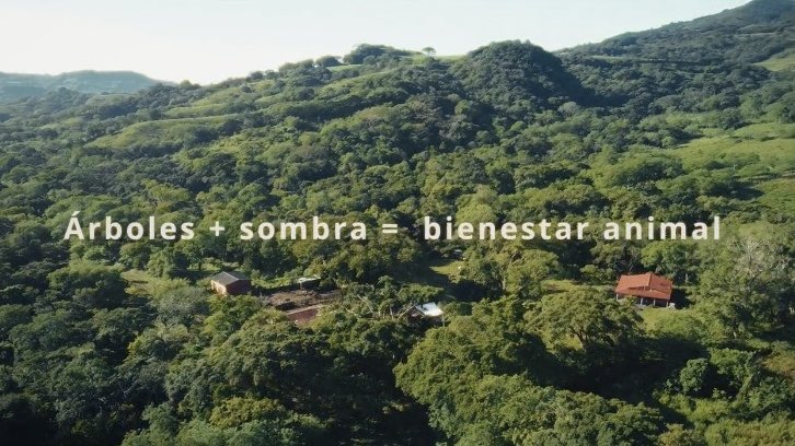 IEcologiaUNAM's tweet photo. La Red de Ganadería Sostenible ReGaSo nos comparte su documental “Construyendo un sueño colectivo, hacia una ganadería sostenible” 📹🐄🌱

¡Únete al sueño y adéntrate en las increíbles zonas ganaderas de Los Tuxtlas! 

Míralo aquí: https://t.co/TlnwbZKf8k https://t.co/mSCHZXbn19